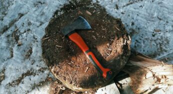 Axe Handle Wood: Types of Wood & Handle Styles