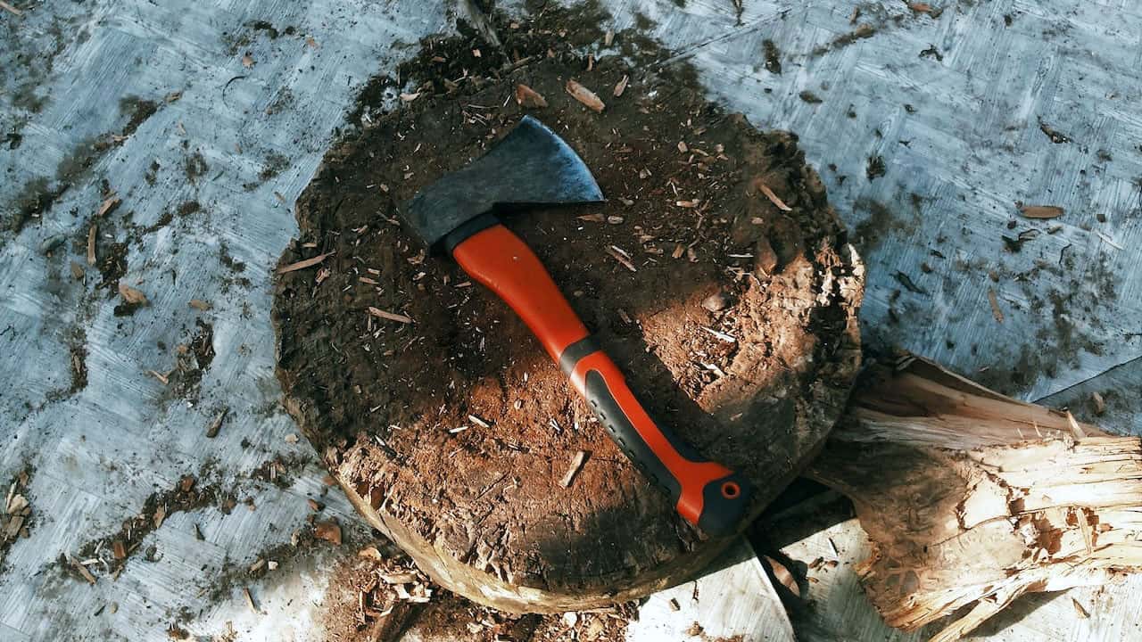 Axe Handle Wood: Types of Wood & Handle Styles