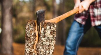 The Essential Guide to Chopping Axes: Mastering the Art of Woodcutting